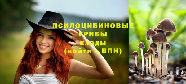 хмурый Белоозёрский