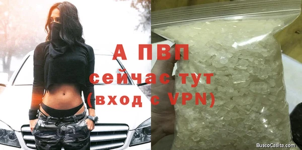 амф Беломорск